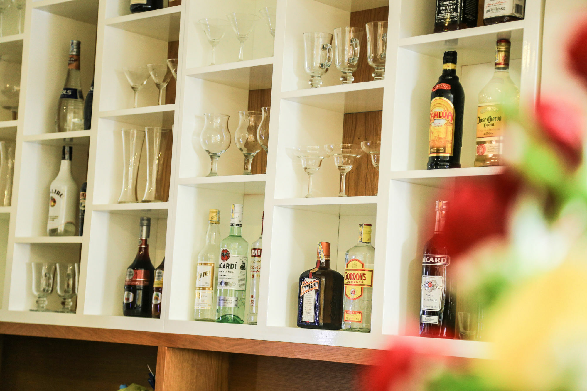 Khách sạn Singita Saigon Boutique Jeonse & Travel W Special Airport Service Deals TP. Hồ Chí Minh